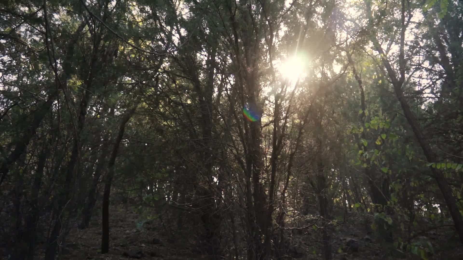 图片[2]-YALAYI雅拉伊_视频_2018.11.29_V005_深山原野_熏儿_1V_150M - aifuli.cc-aifuli.cc