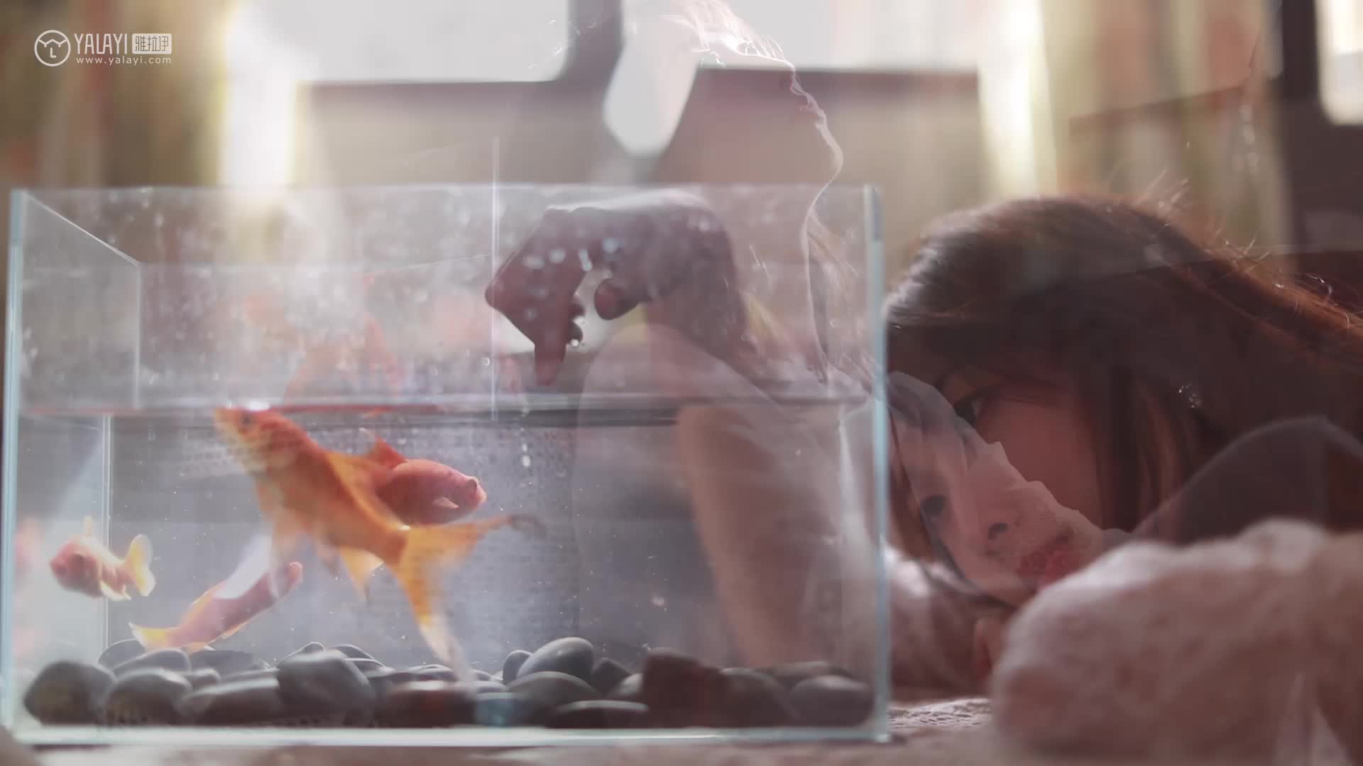 YALAYI雅拉伊_视频_2019.12.27_V100_寂寞心房_佳佳_1V_158M - aifuli.cc-aifuli.cc