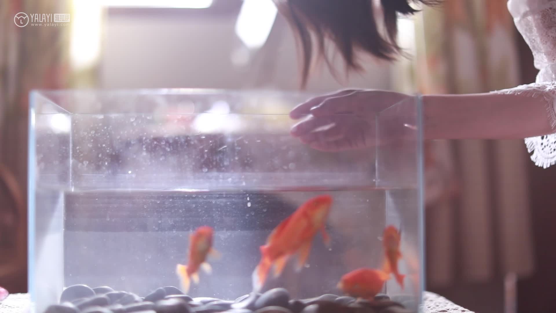 图片[2]-YALAYI雅拉伊_视频_2019.12.27_V100_寂寞心房_佳佳_1V_158M - aifuli.cc-aifuli.cc