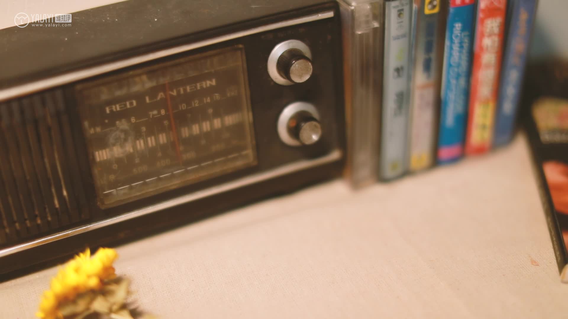 YALAYI雅拉伊_视频_2020.10.24_V149_心动_苍儿_1V_106MB - aifuli.cc-aifuli.cc