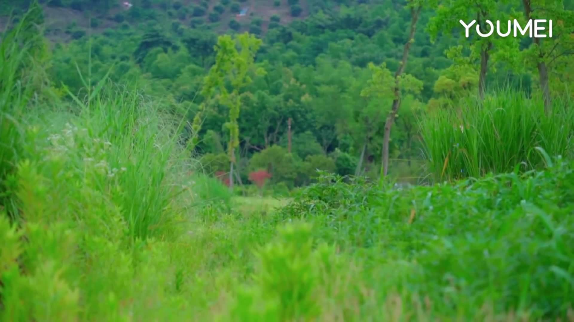 图片[5]-YouMei_尤美视频_2018.06.25_No.023_铁血军团の尤物_易阳 - aifuli.cc-aifuli.cc