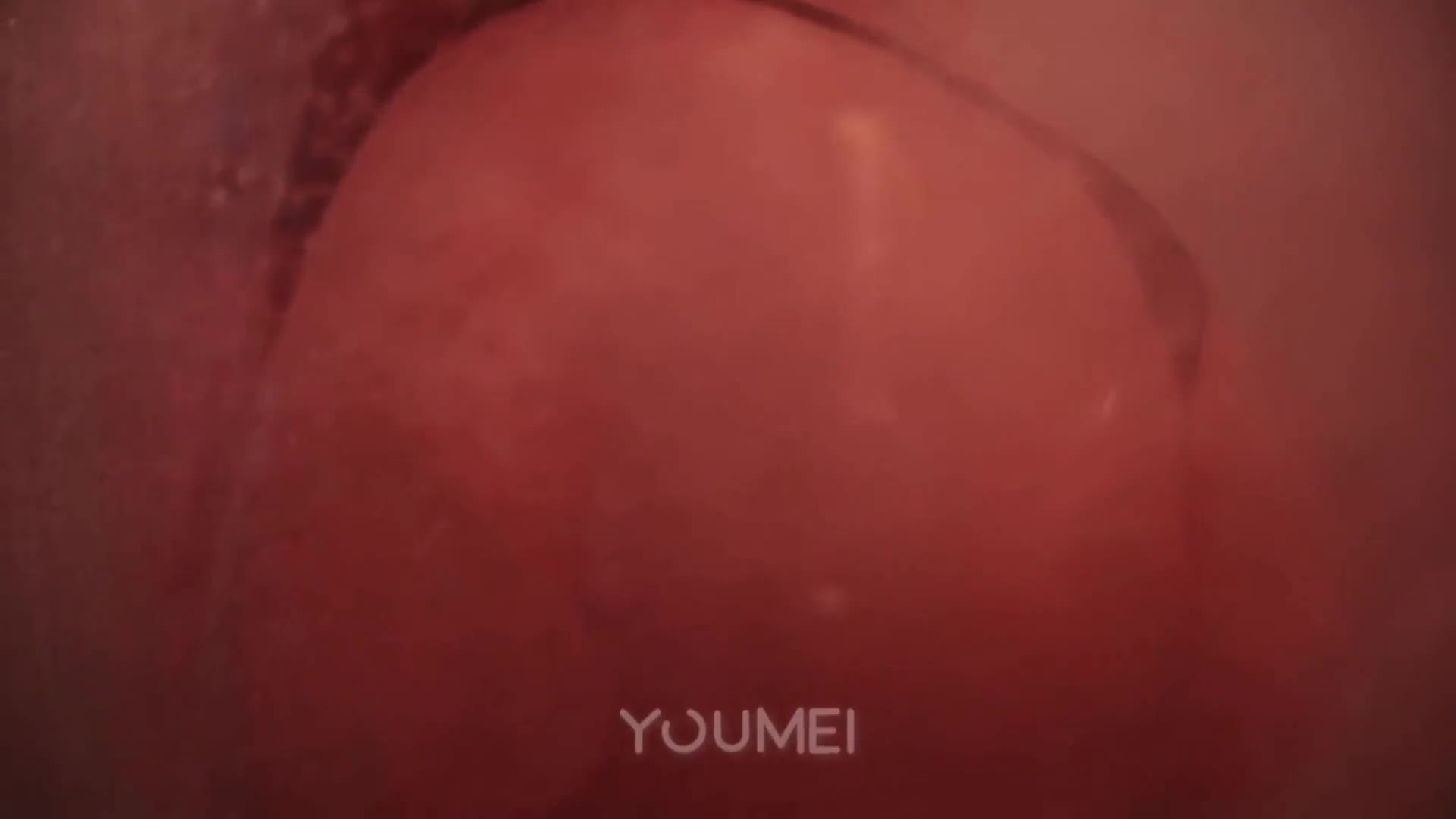 图片[4]-YouMei尤美_视频_2018.11.22_NO.124_欲望人妻_陈圆圆_1V_142M - aifuli.cc-aifuli.cc