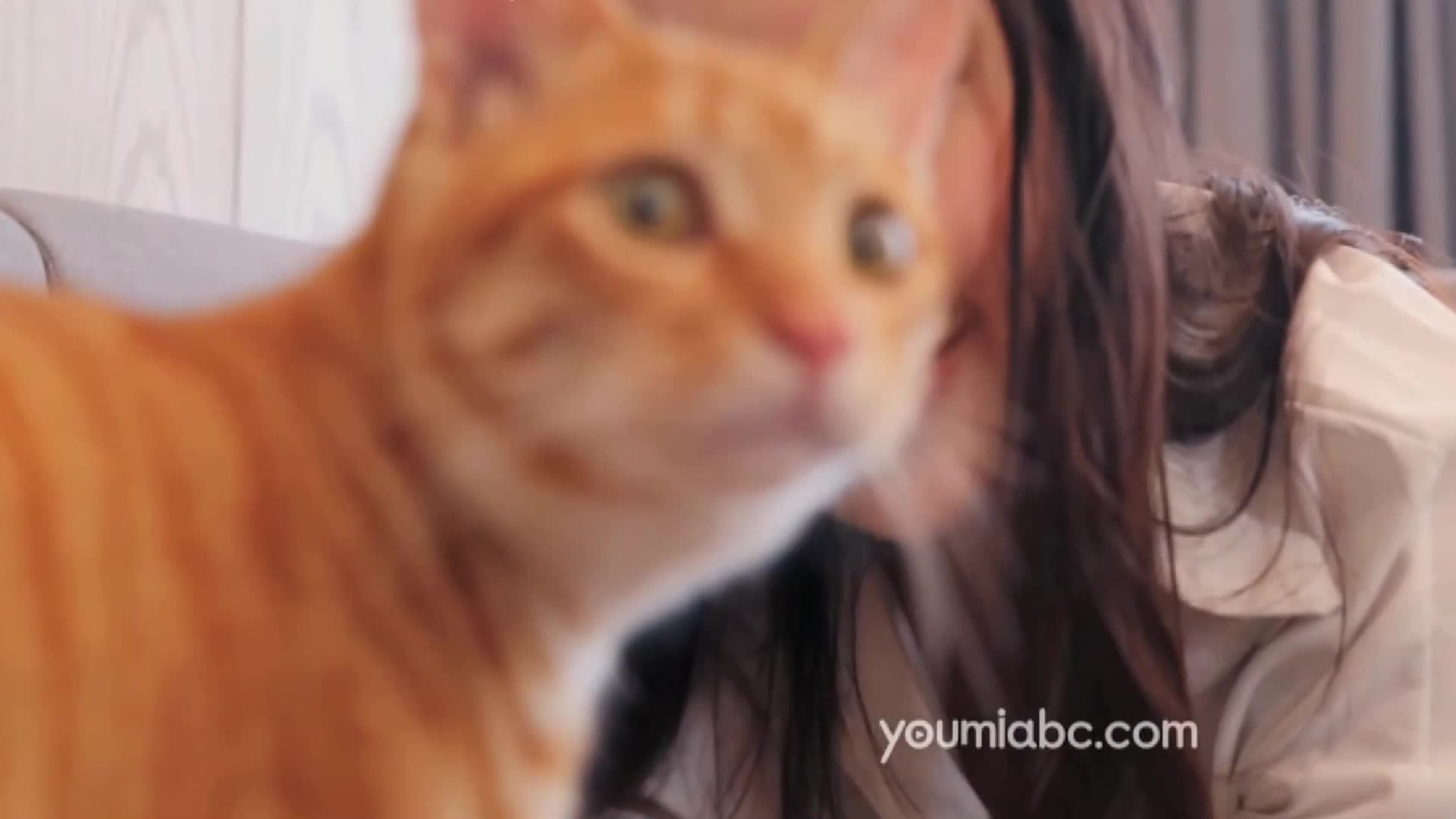 图片[5]-YouMei尤美_视频_2019.08.13_NO.259_小仙の喵时光_小仙_1V_158MB - aifuli.cc-aifuli.cc