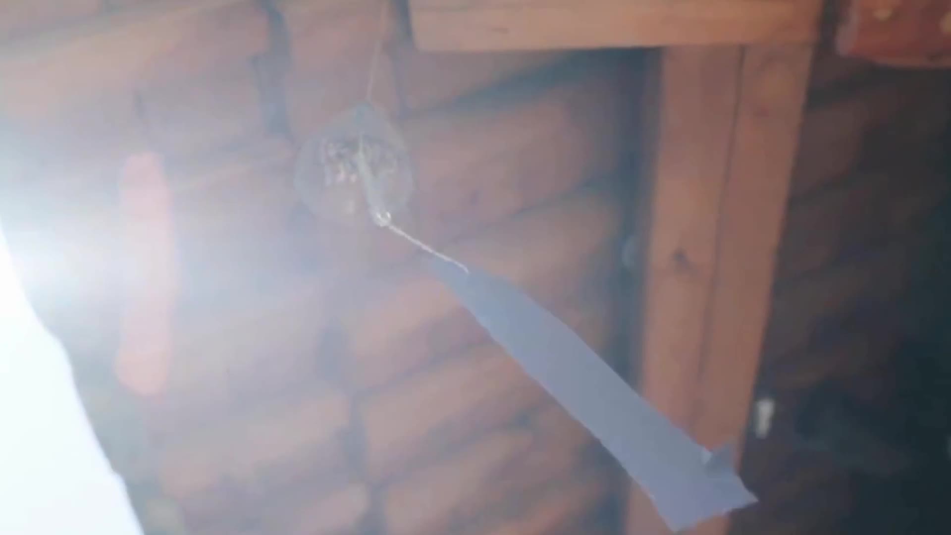 图片[4]-YouMei尤美_视频_2019.09.17_NO.347_去年夏天_绯月樱_Cherry_1V_160MB - aifuli.cc-aifuli.cc