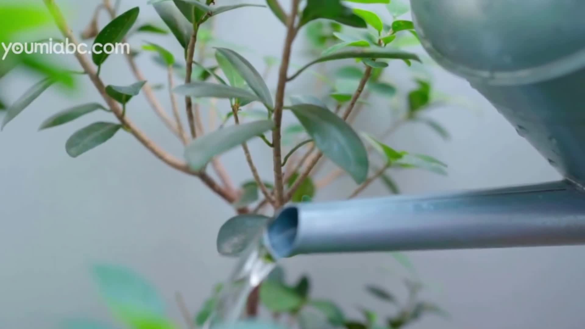 YouMi尤蜜_视频_2019.11.14_NO.475_情欲美妇_陈圆圆_1V_138MB - aifuli.cc-aifuli.cc