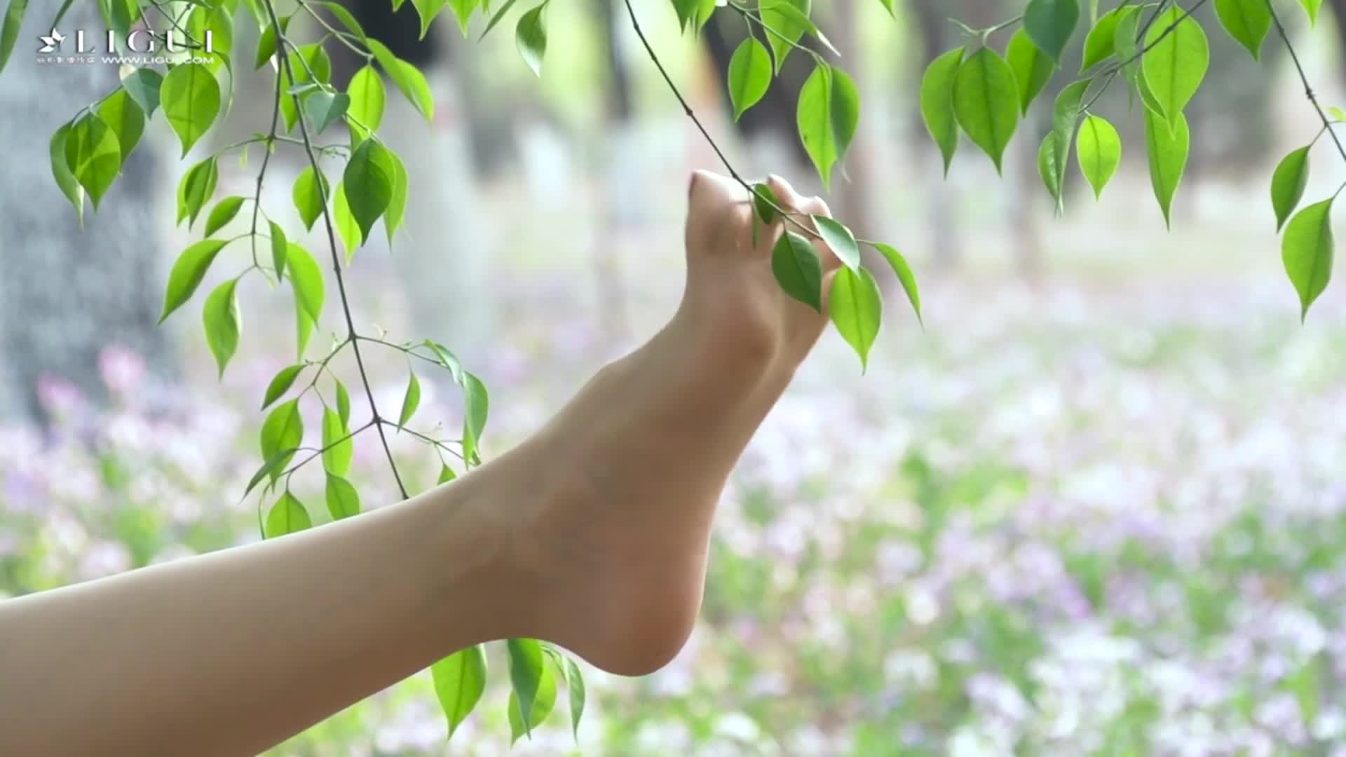 图片[5]-Ligui丽柜_HD视频_2020.09.22_绿野伊莲_凉儿_1V_247MB - aifuli.cc-aifuli.cc