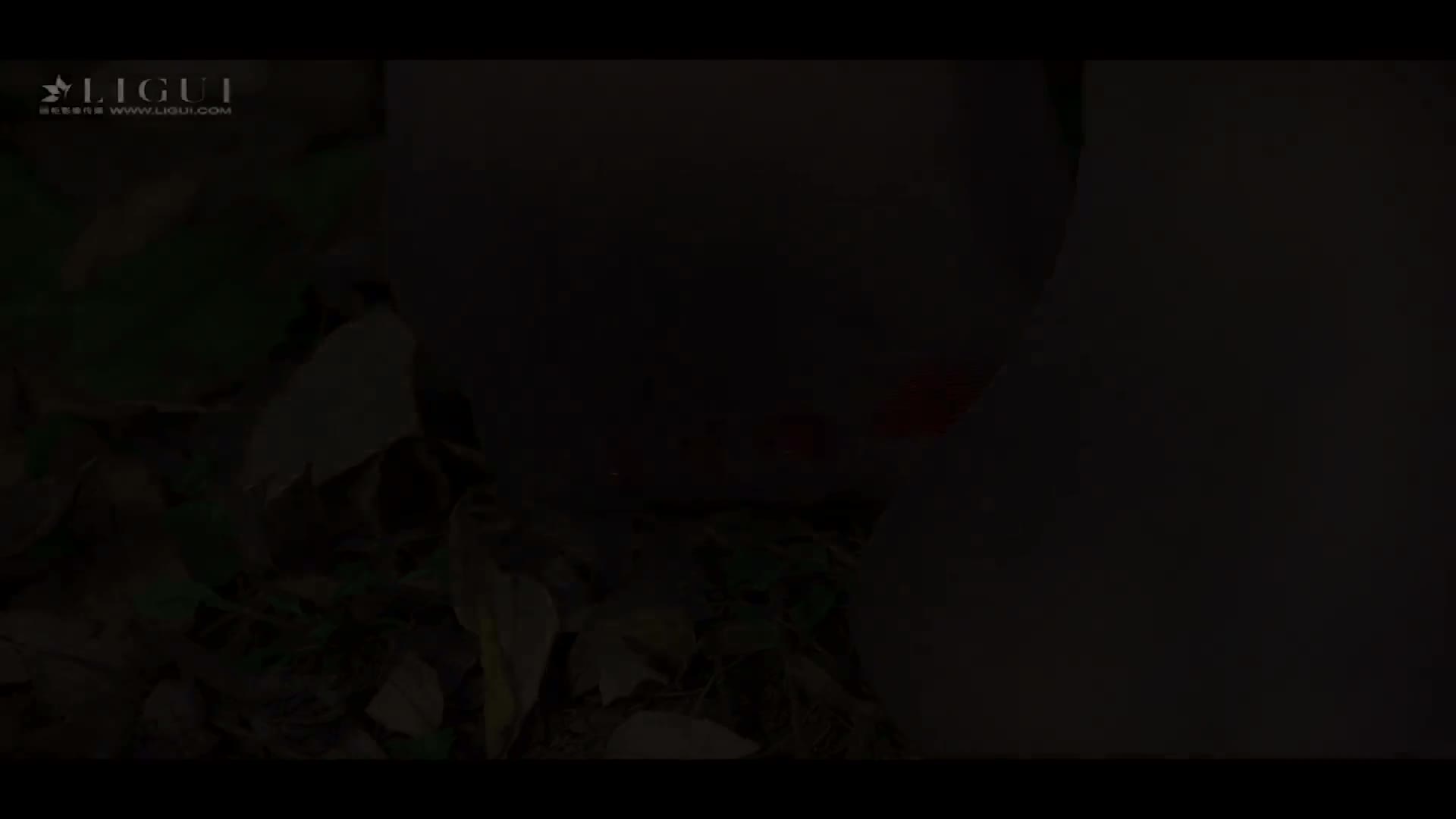 Ligui丽柜_高清视频_2017.11.09_悠悠_1V_134M-aifuli.cc