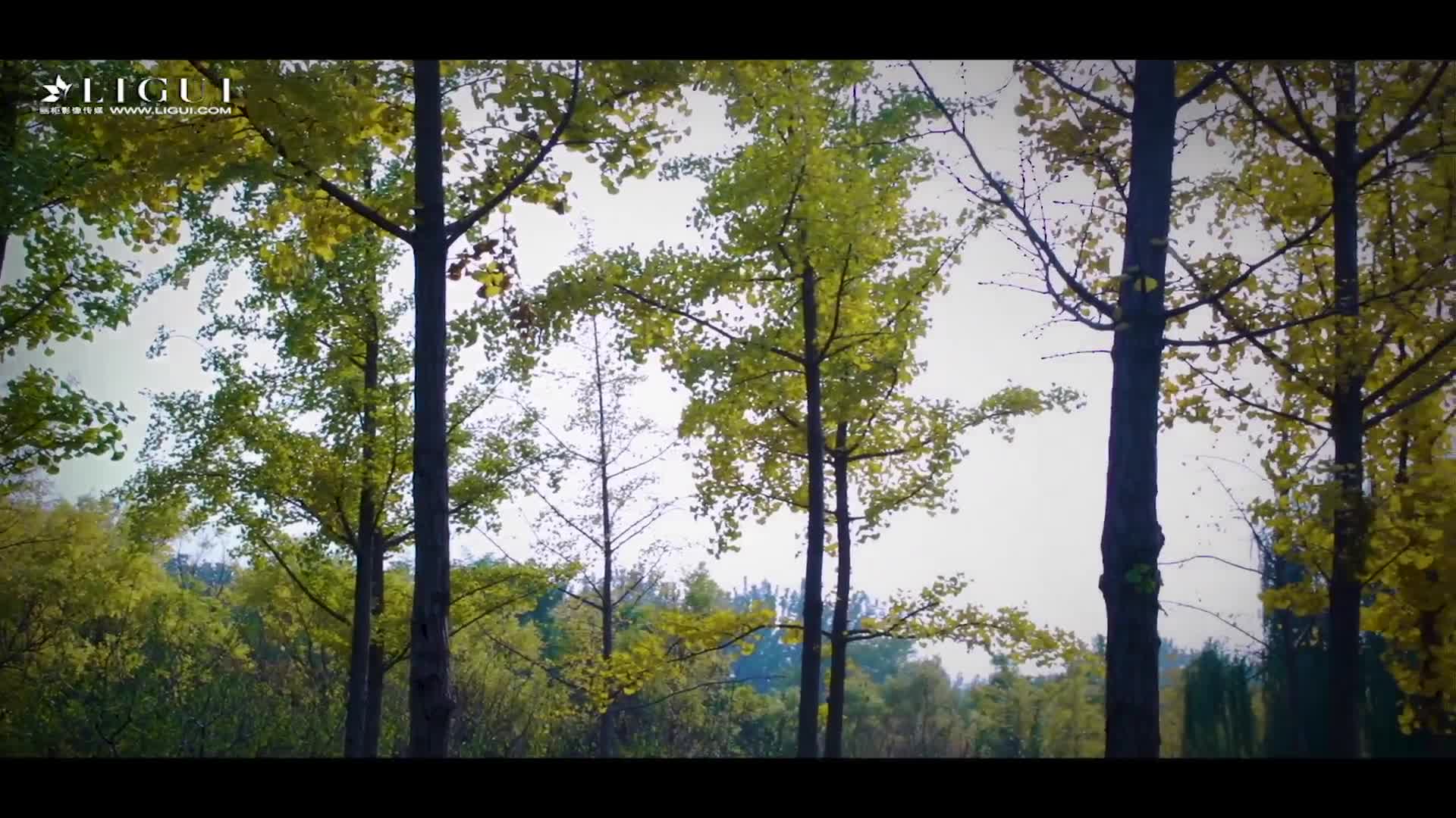 图片[2]-Ligui丽柜_高清视频_2017.11.09_悠悠_1V_134M - aifuli.cc-aifuli.cc