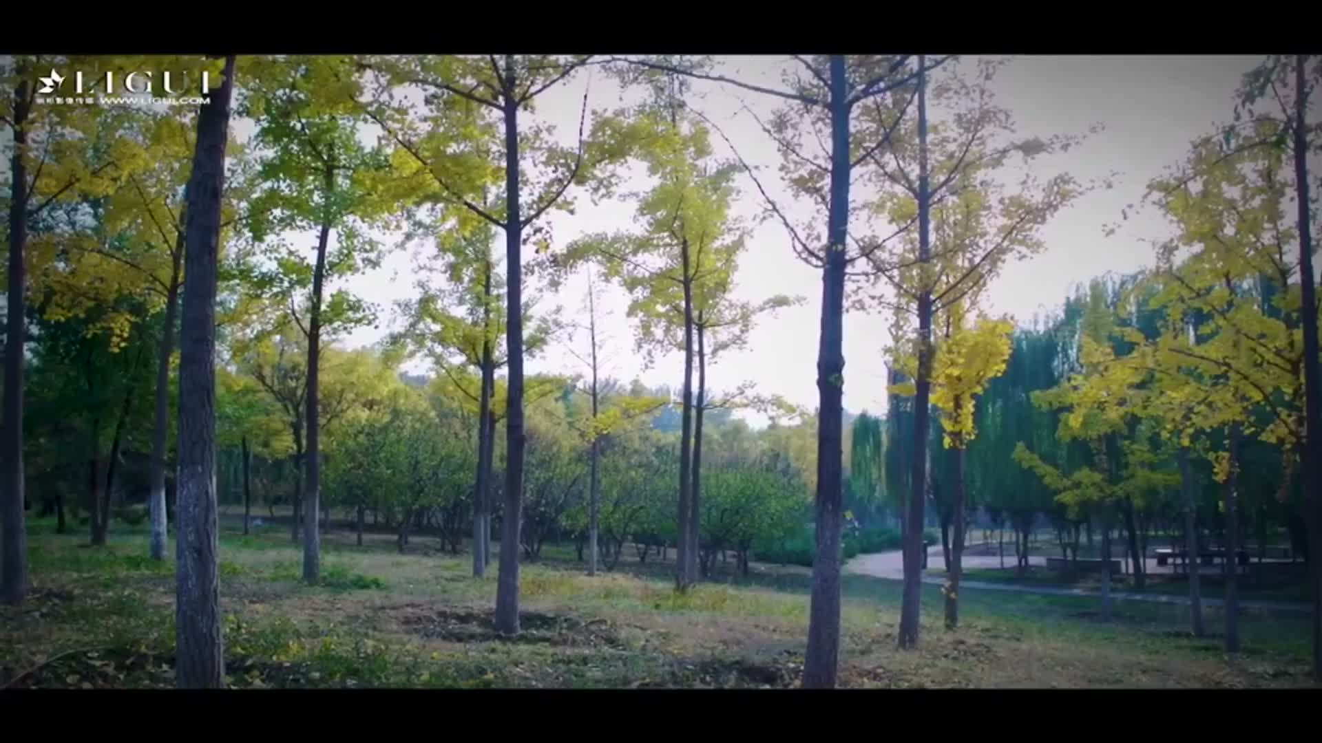 Ligui丽柜_高清视频_2017.11.09_金风玉露丝高气爽_悠悠_1V_265M - aifuli.cc-aifuli.cc