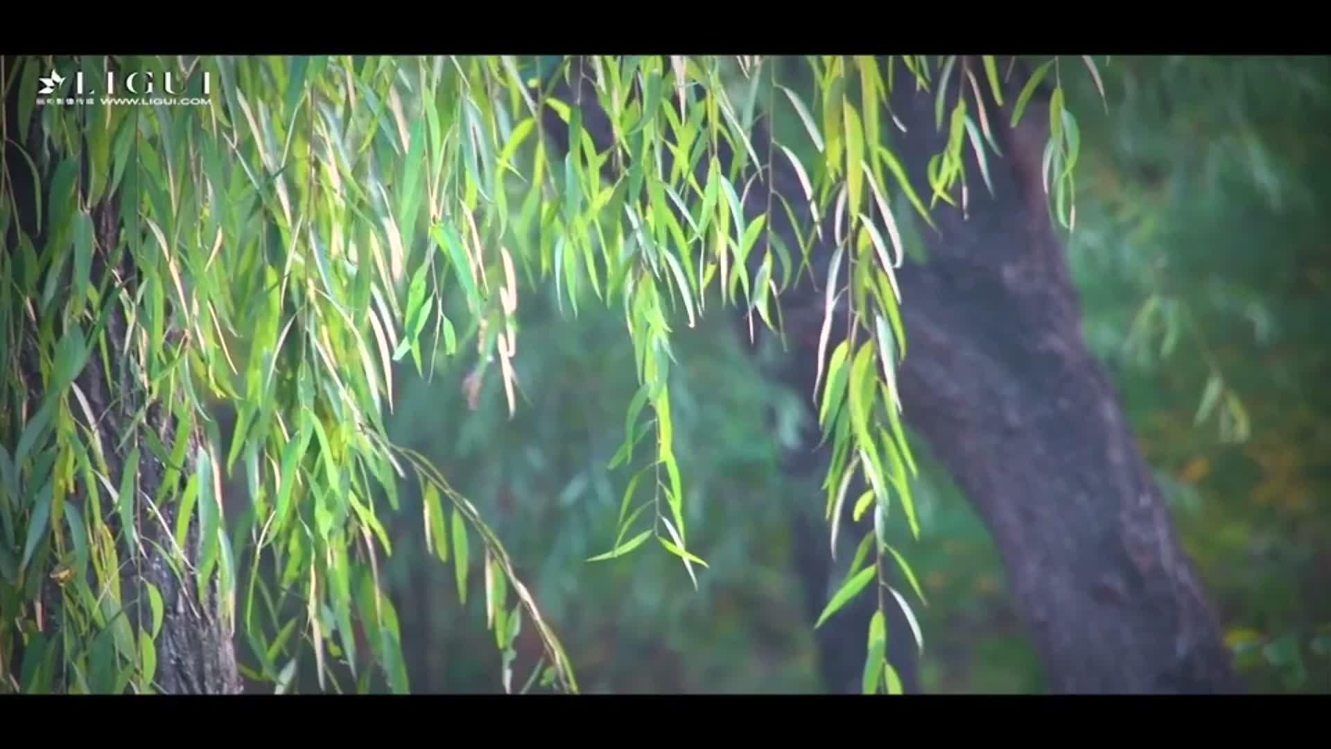 图片[3]-Ligui丽柜_高清视频_2017.11.09_金风玉露丝高气爽_悠悠_1V_265M - aifuli.cc-aifuli.cc