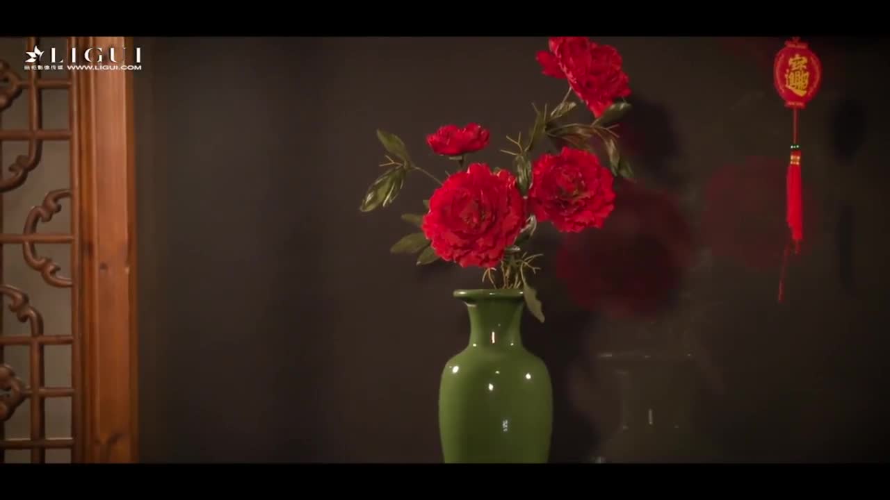 Ligui丽柜_高清视频_2018.02.13_新春纳福饺子酒_雪糕_1V_63M - aifuli.cc-aifuli.cc