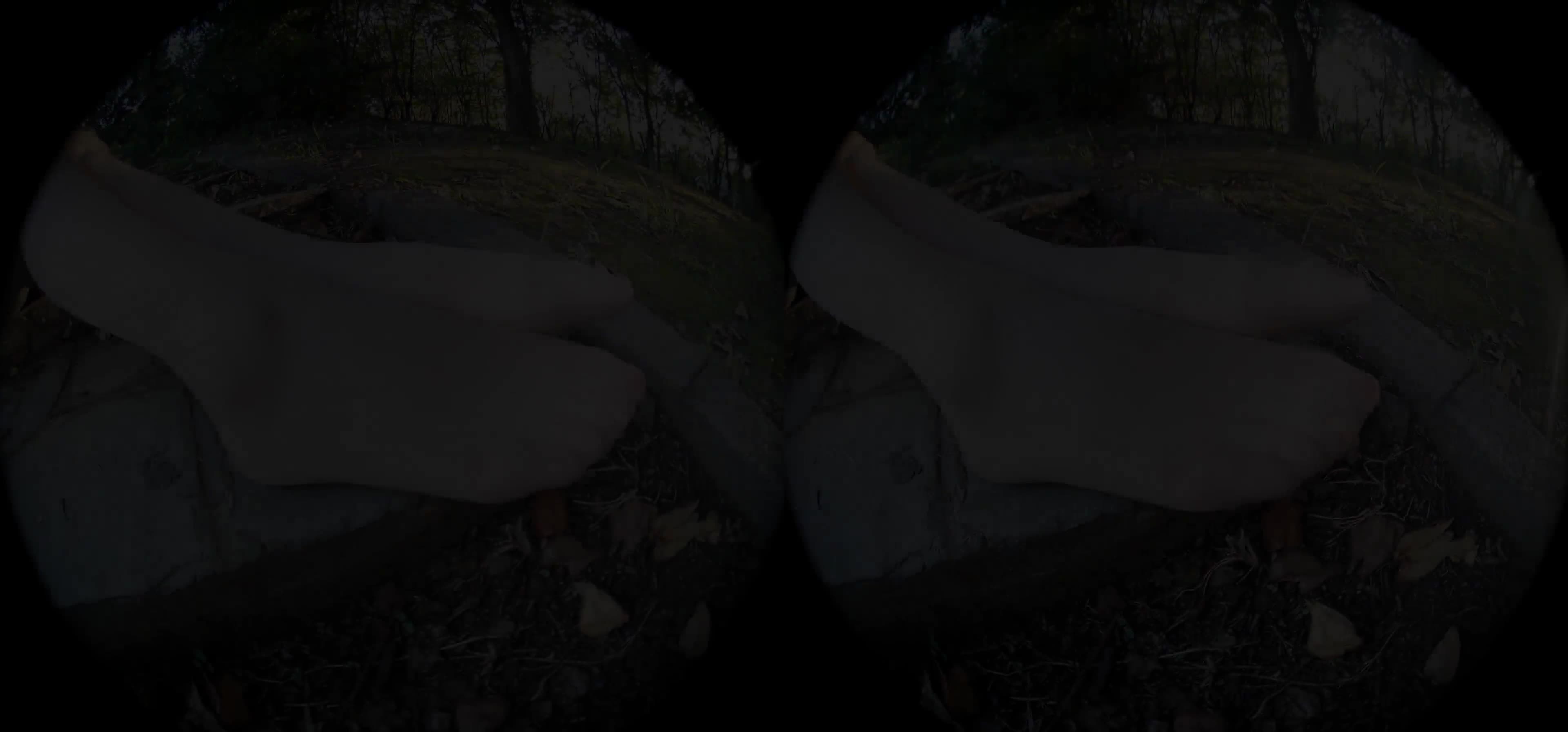 图片[4]-Ligui丽柜_高清视频_2019.11.05_野外遇矫丝_虫虫_1V_513M - aifuli.cc-aifuli.cc