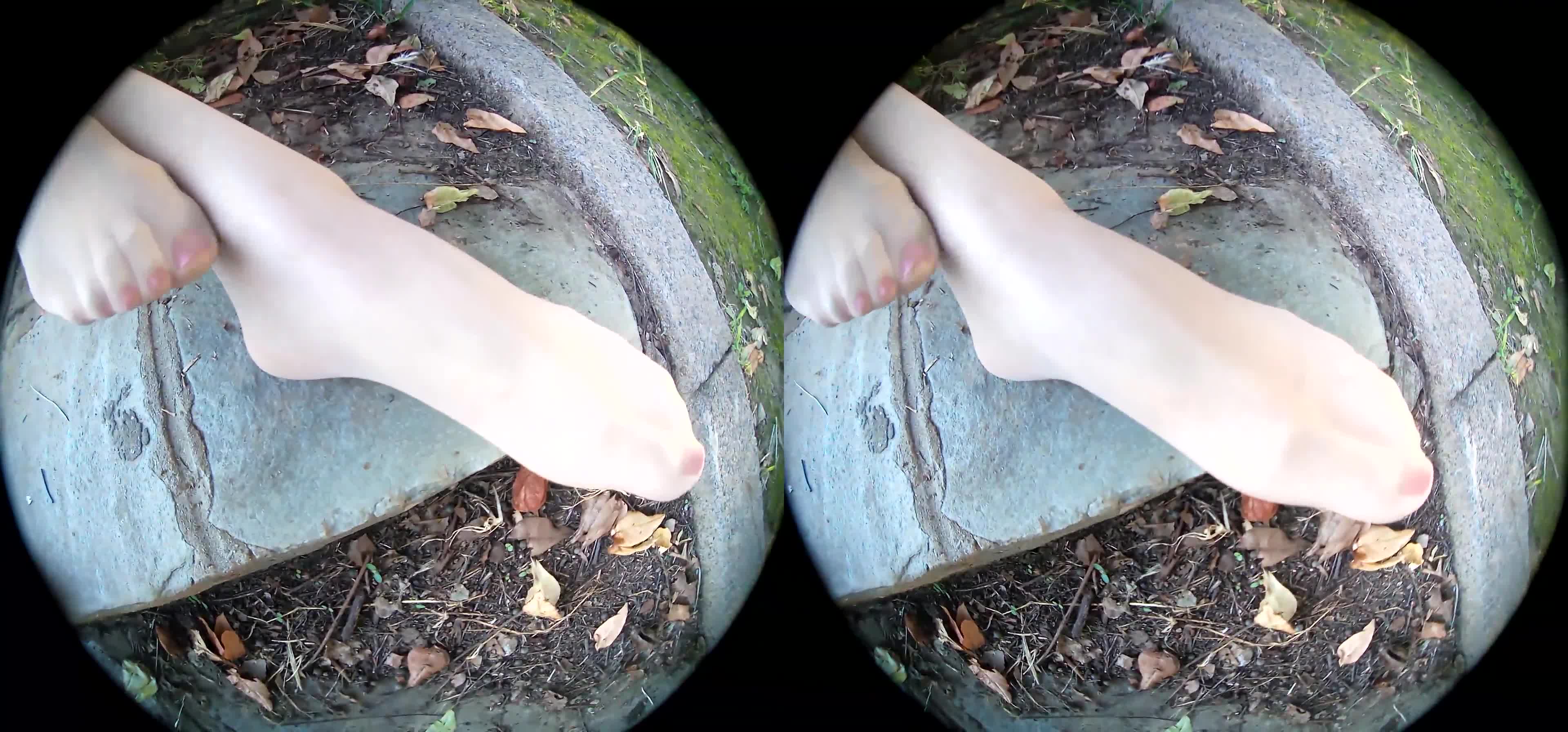 图片[5]-Ligui丽柜_高清视频_2019.11.05_野外遇矫丝_虫虫_1V_513M - aifuli.cc-aifuli.cc