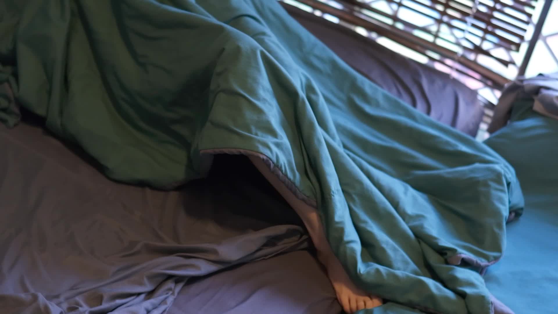 图片[5]-雏菊_05 - aifuli.cc-aifuli.cc