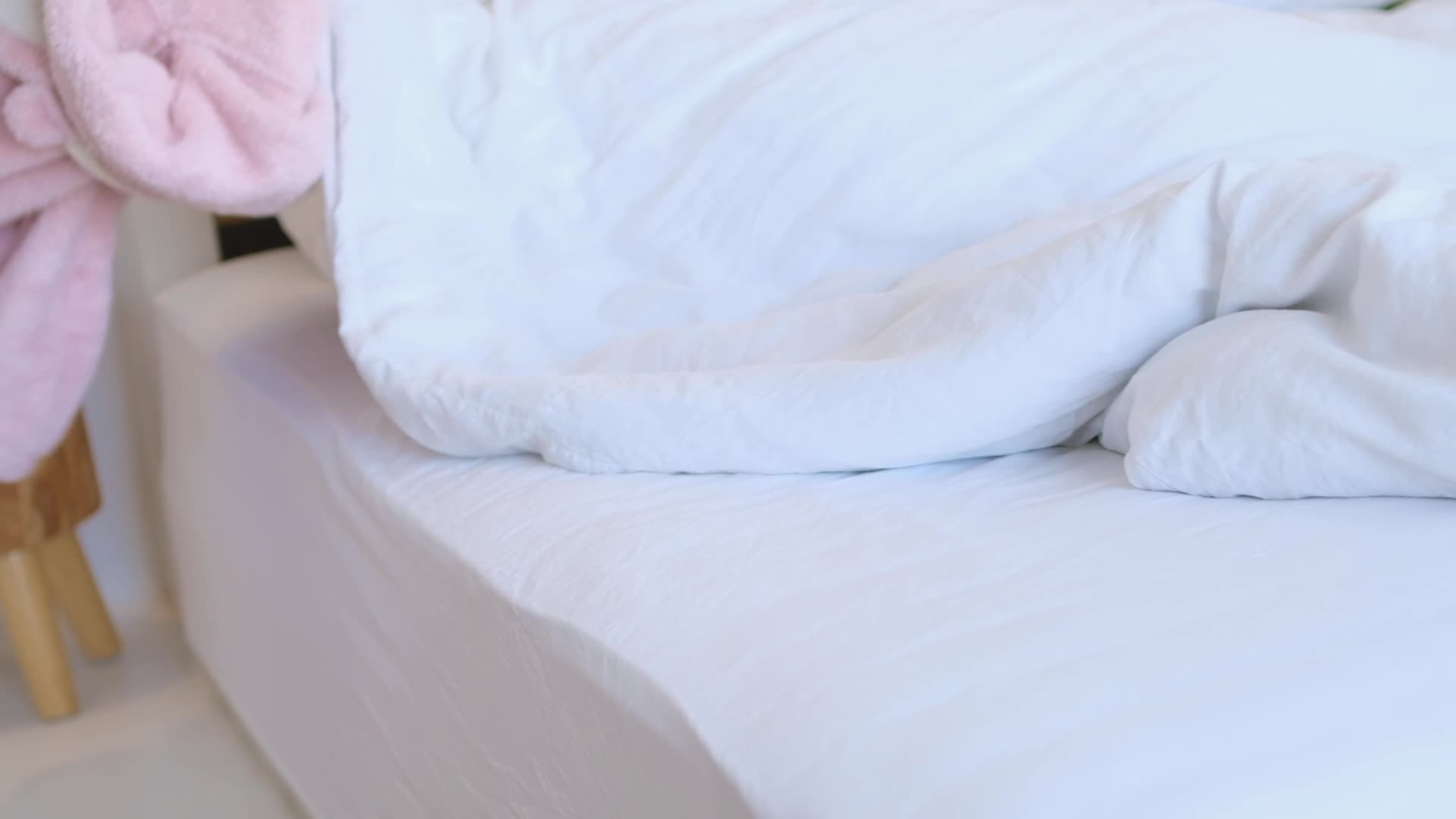 图片[2]-雏菊_08 - aifuli.cc-aifuli.cc