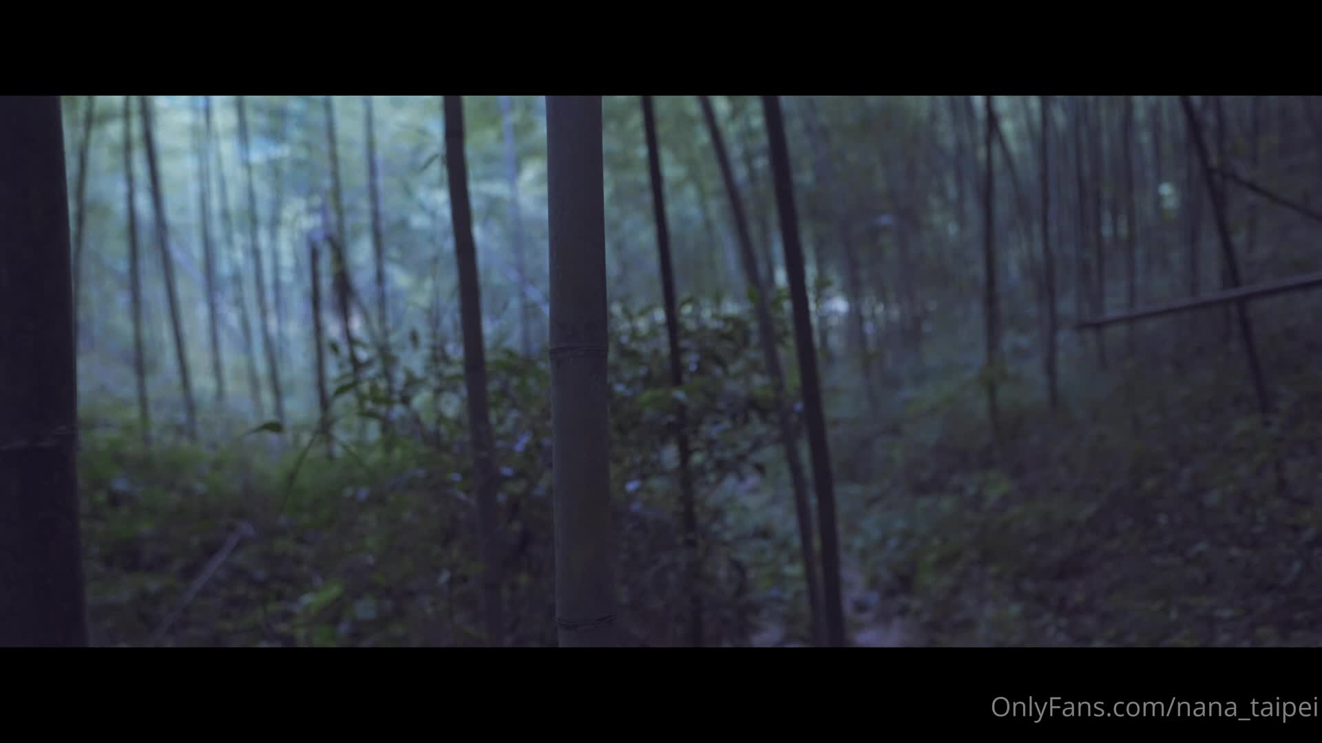 nana_taipei_Nana_OnlyFans原档资源合集07-aifuli.cc