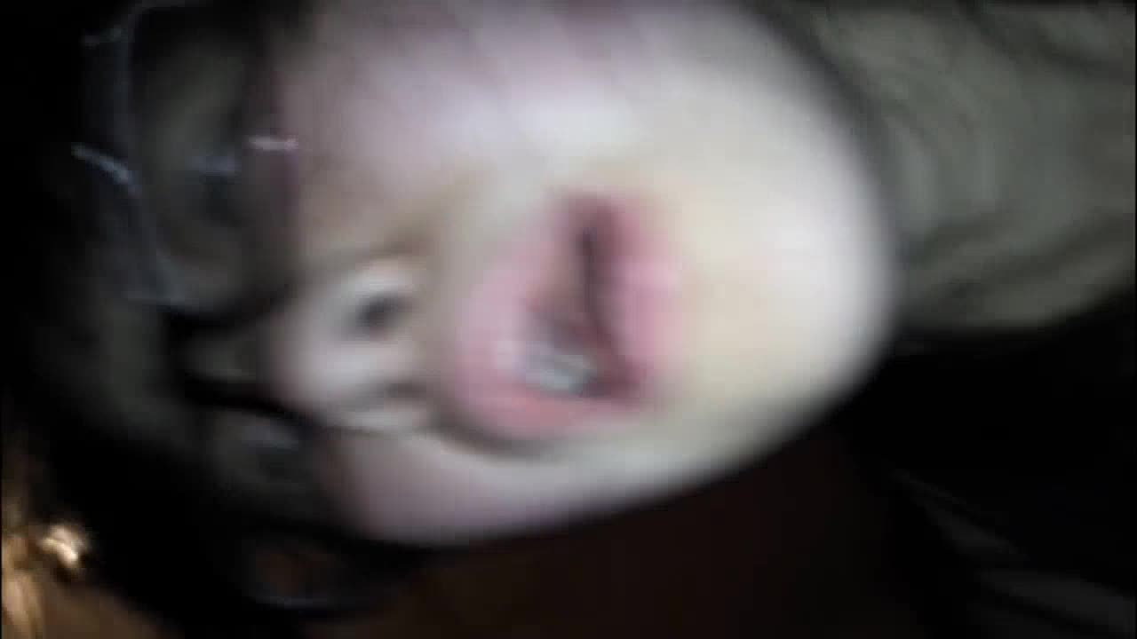 图片[2]-a1606204 - aifuli.cc-aifuli.cc