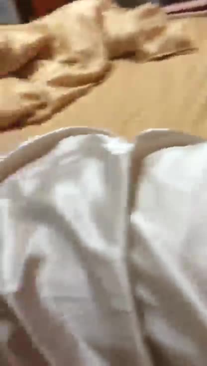 a16121501 - aifuli.cc-aifuli.cc