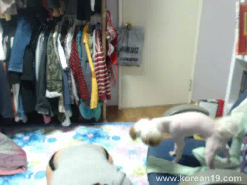 图片[3]-bj1510081 - aifuli.cc-aifuli.cc