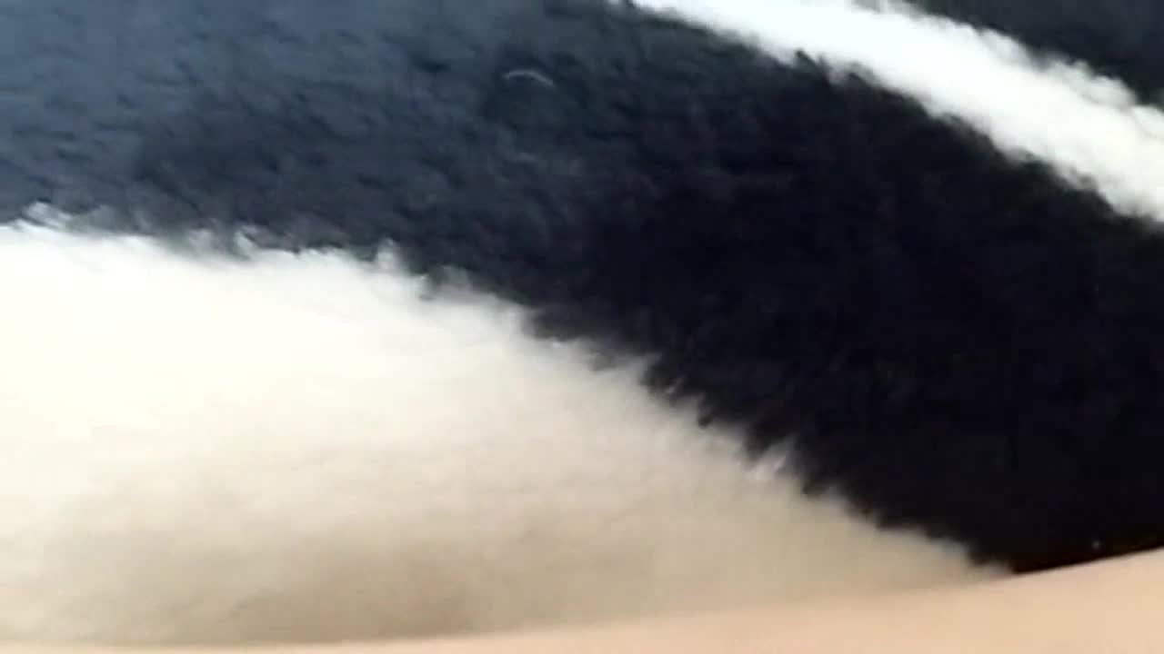 图片[2]-ka1501241 - aifuli.cc-aifuli.cc