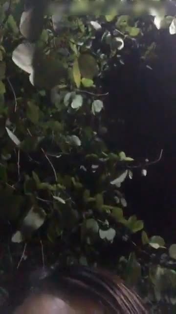 wc17051501 - aifuli.cc-aifuli.cc