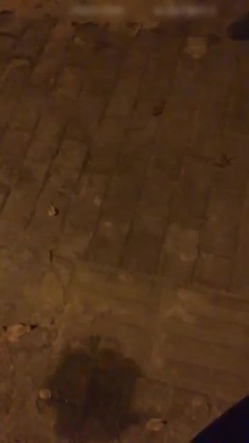 图片[5]-wc17051501 - aifuli.cc-aifuli.cc