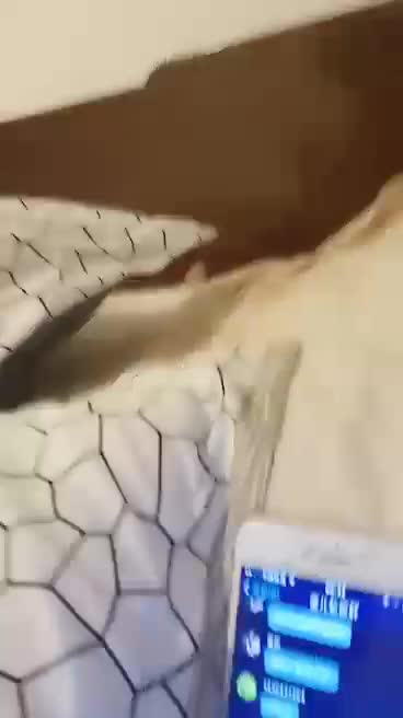 wc17060802 - aifuli.cc-aifuli.cc