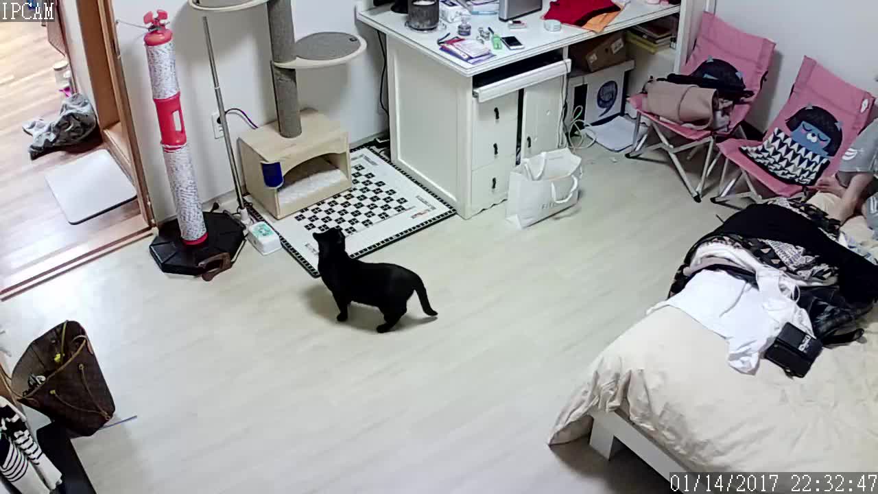 wc17061501 - aifuli.cc-aifuli.cc