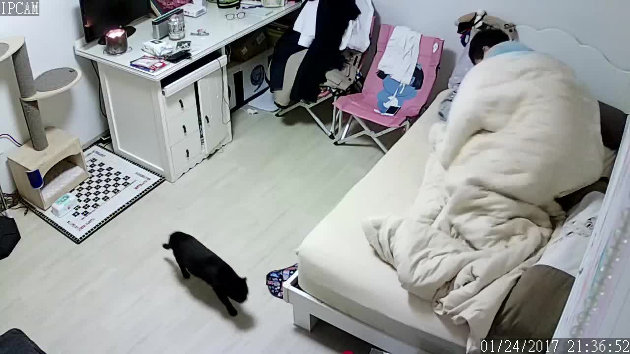 图片[4]-wc17061501 - aifuli.cc-aifuli.cc